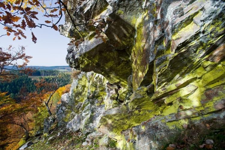 Natur-erleben Rheinland Pfalz